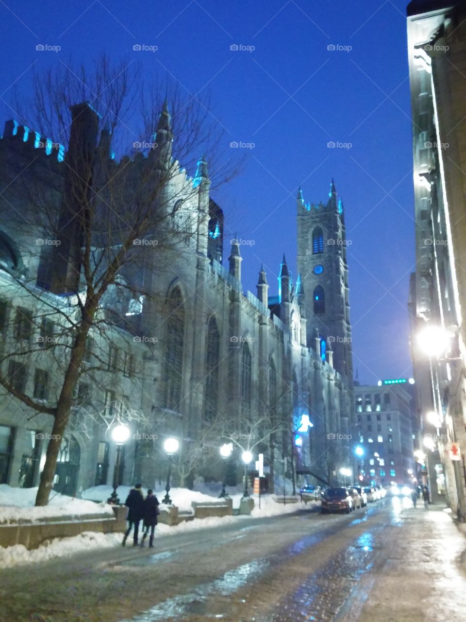 Notre-Dame Basilica. Absolutely gorgeous massive cathedral