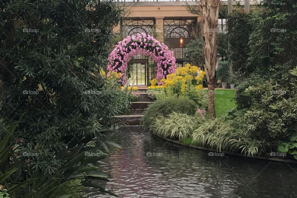 Garden, Architecture, Flower, No Person, Tree