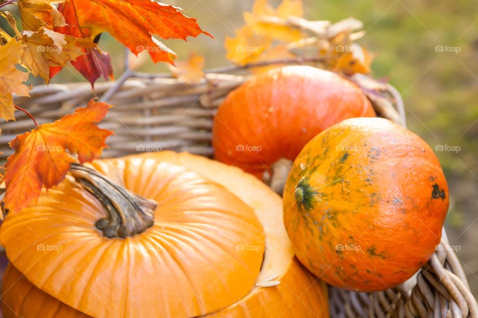 Pumpkins in basket outside 