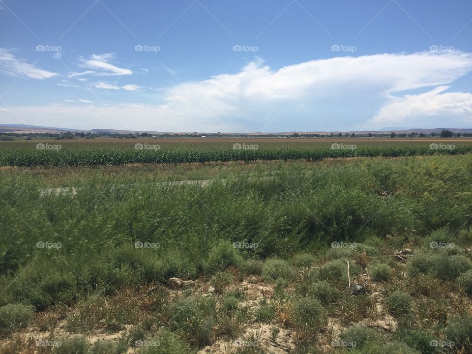 Landscape, No Person, Nature, Sky, Agriculture