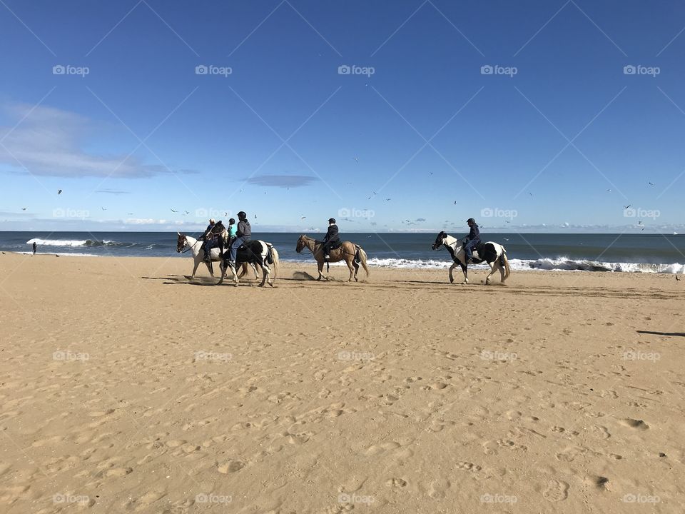 Tourist take horse back riding lessons on Virginia beach
