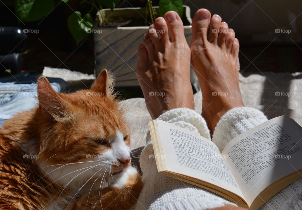 girl and cat, female legs barefoot with book reading, social distance