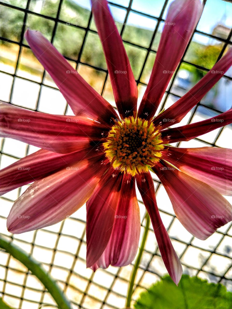 life is beautiful from where you look