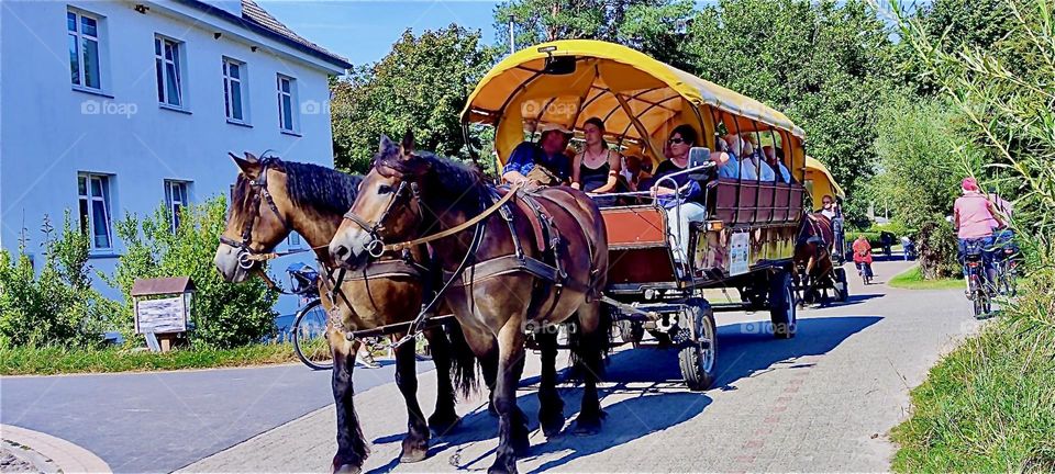 An old fashioned carriage with passengers is being pulled by two strong horses through the streets of “Hiddensee”, an island in the “Baltic Sea” or “Ostsee” in “Mecklenburg - Western Pomerania”, Germany. 2024. Hypnotic Productions