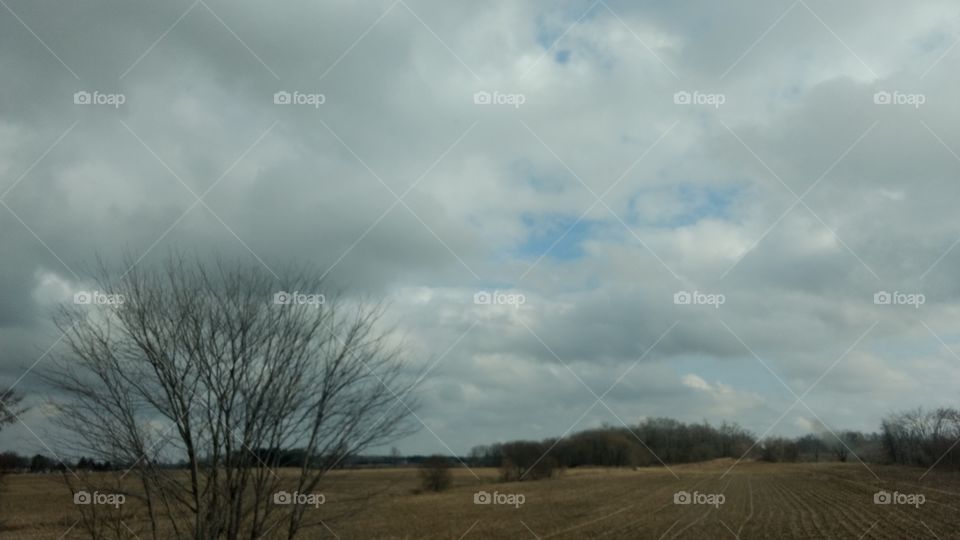 Landscape, No Person, Nature, Sky, Tree