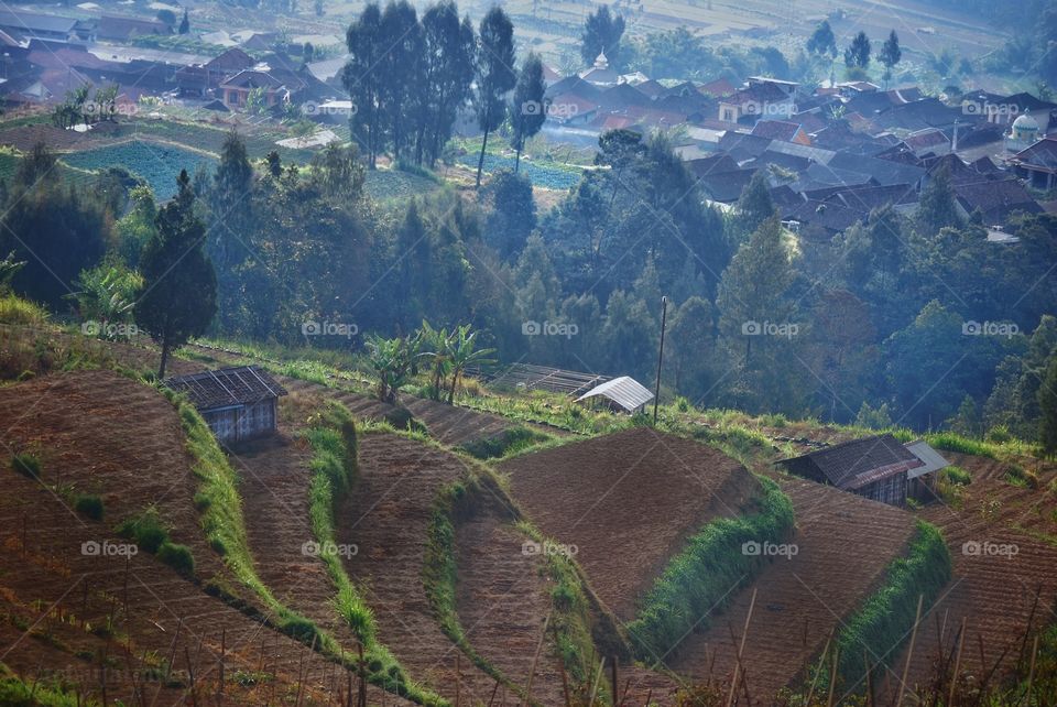 landscape agriculture