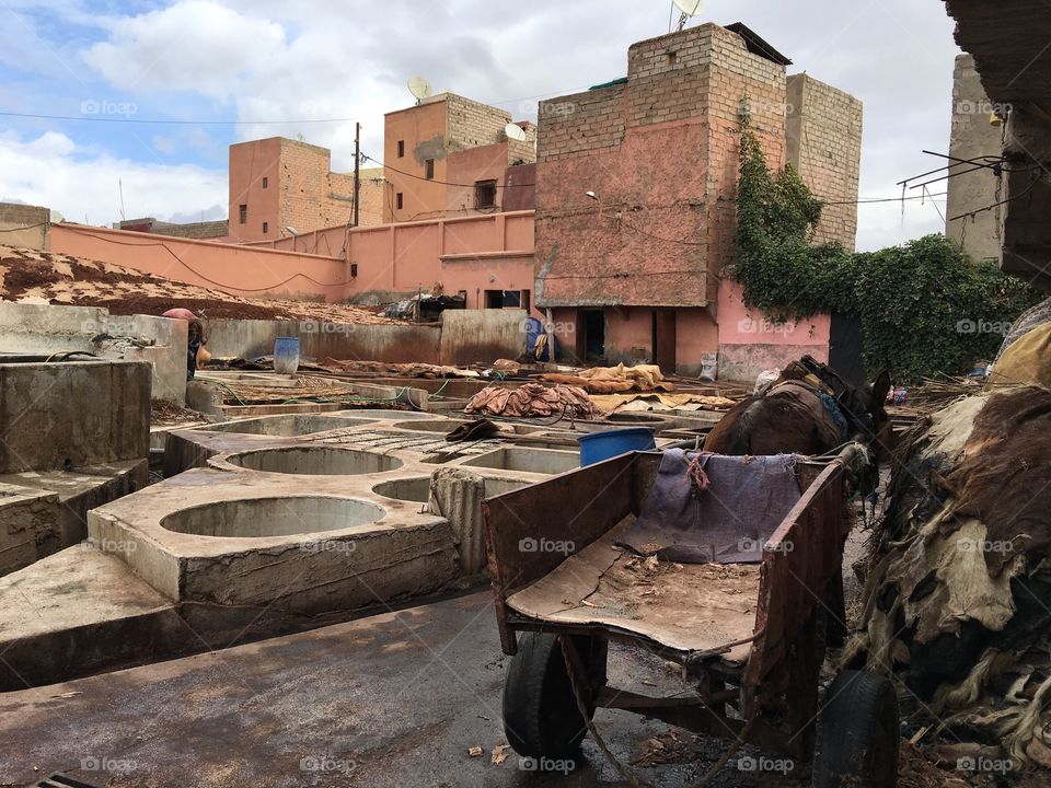 Marrakech tannery 