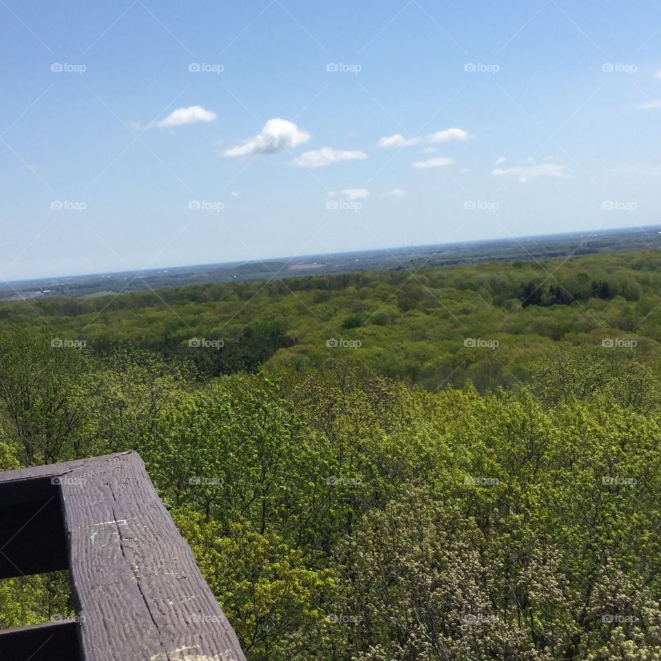 View On The Edge Of The Tower