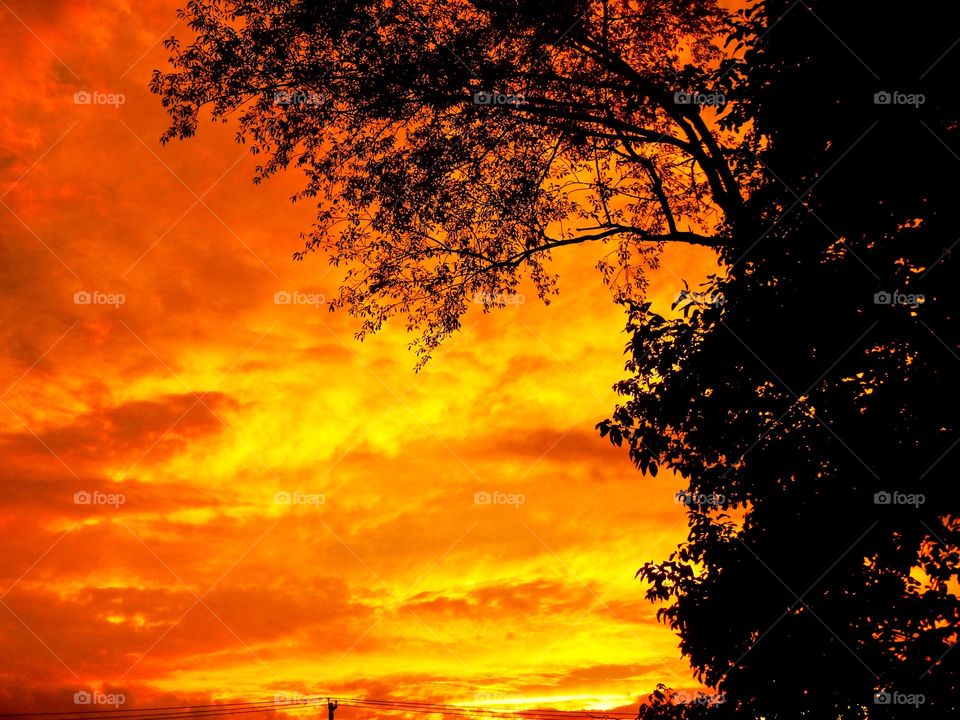 Beautiful sunset view at home