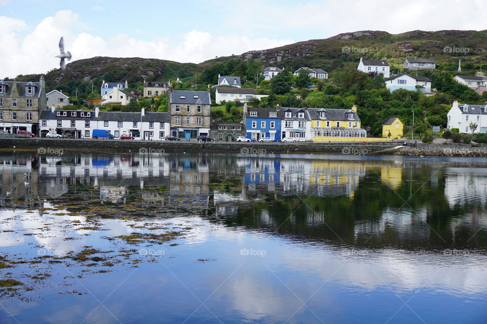 Harbour Reflections