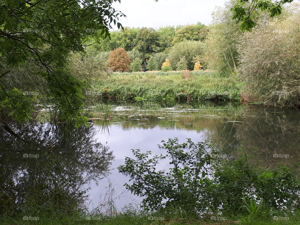 River Scene