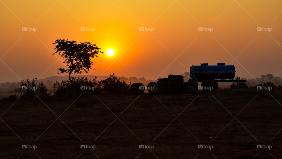 a tree ,dry winter, water boggy