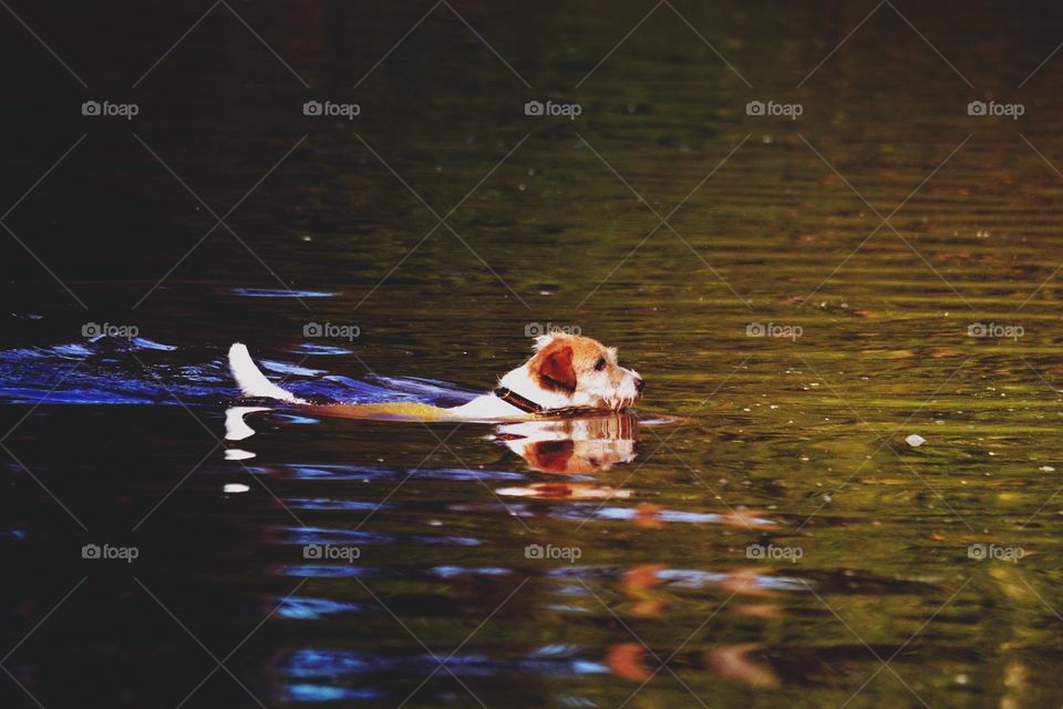 Water, Lake, No Person, Reflection, River