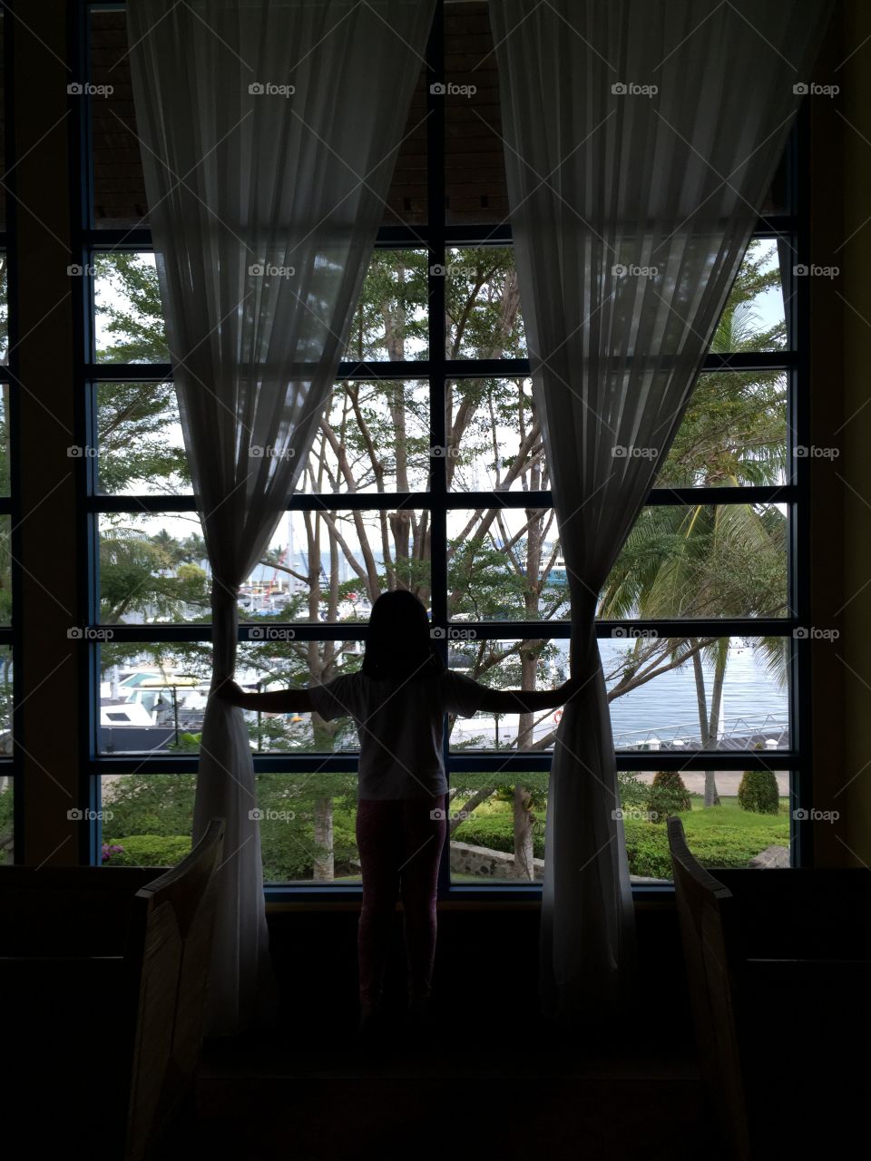 sea view and silhuette