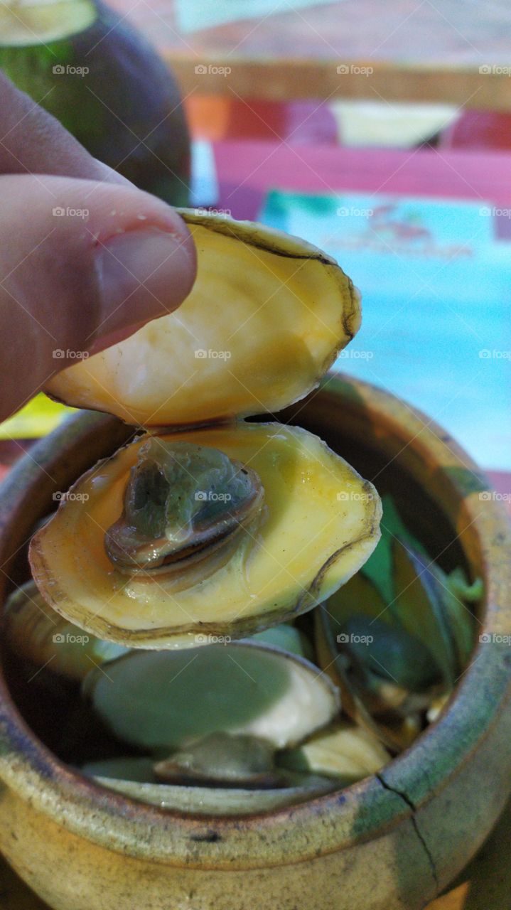 LAMBRETA, delicacies from the sea