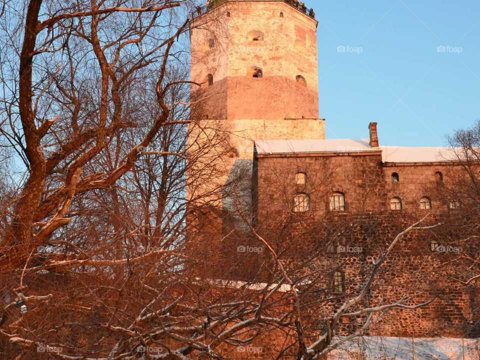 Красоты Сибири