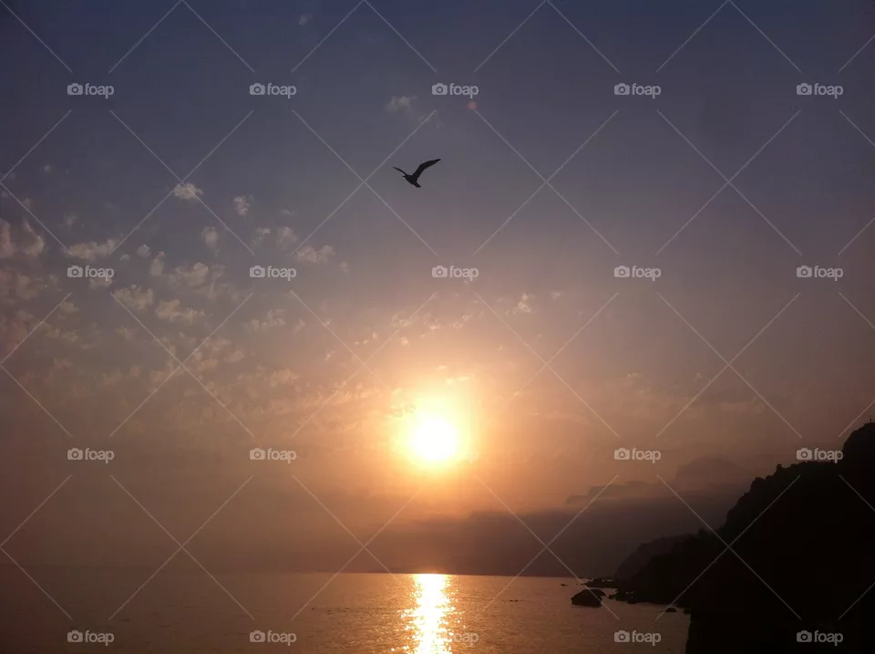 Sunset, Evening, Dawn, Sun, No Person
