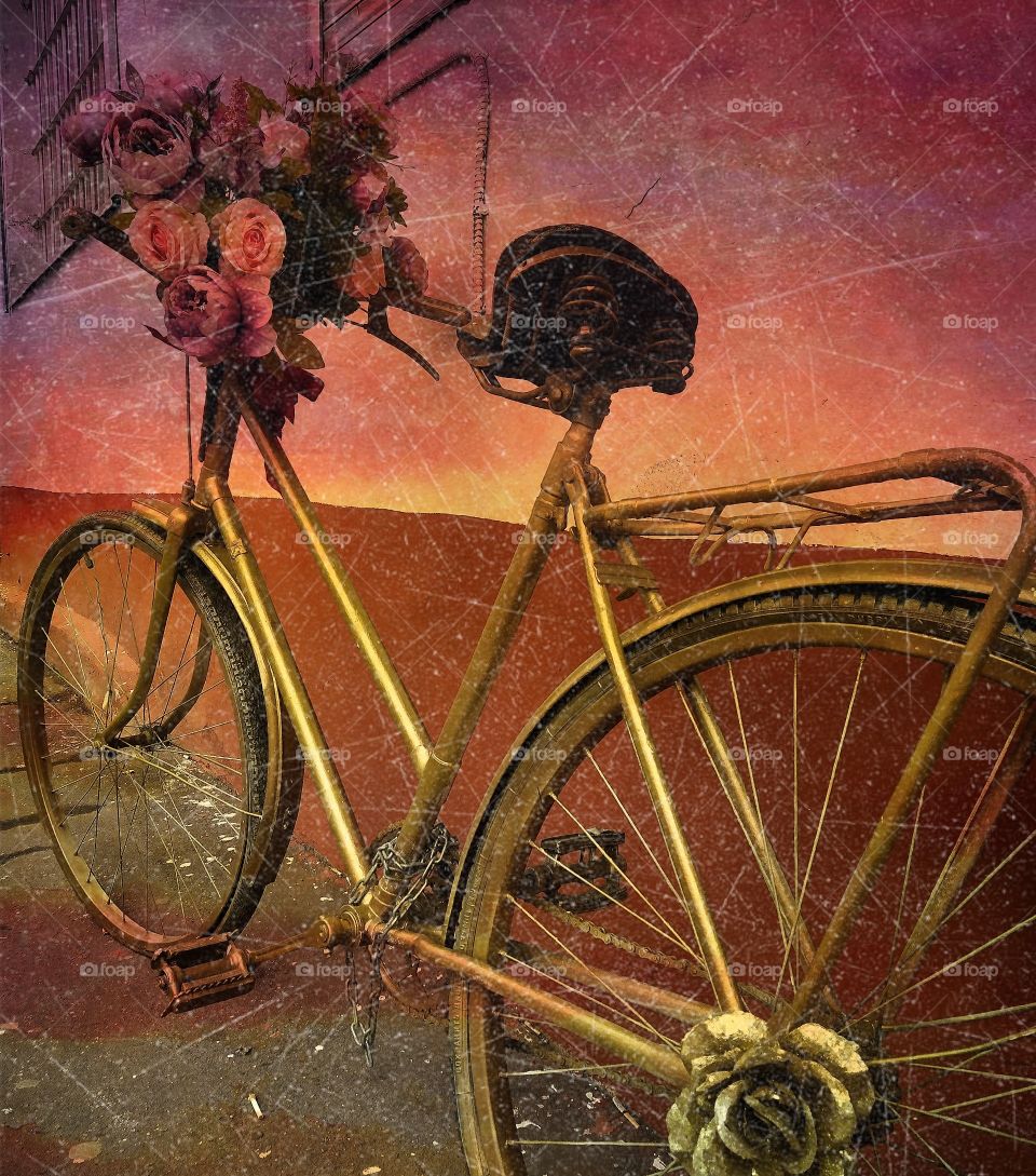 All shades of pink.  Old bicycle with a basket of flowers near the old wall