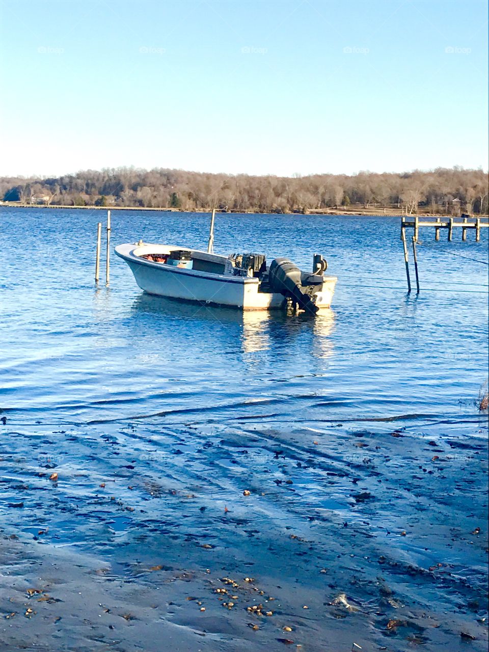 Empty Boat