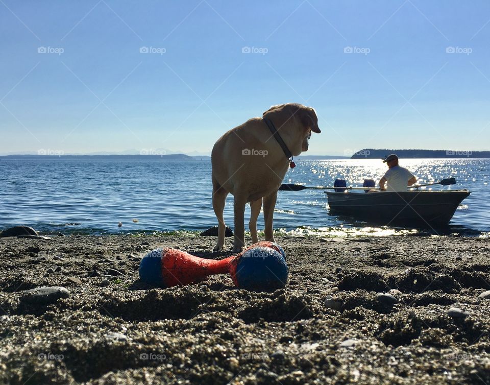 Fishing with dog