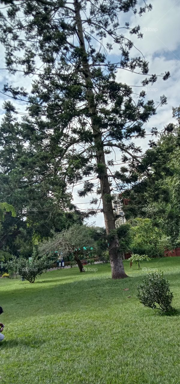 I want to be taller 😩❤️✨