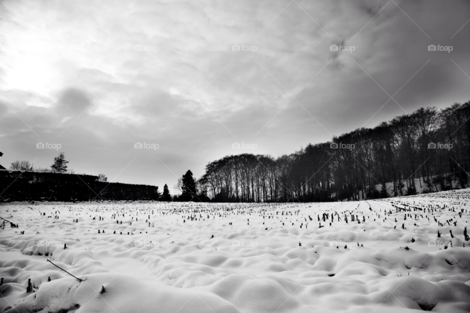 ronse winter landscape show by ilsem16