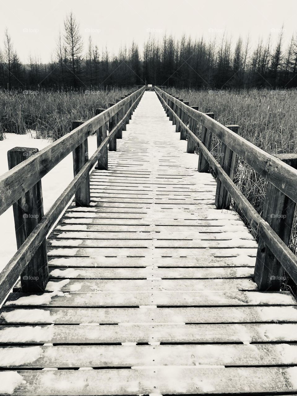 Mid winter hike through the Mer Blue Bog