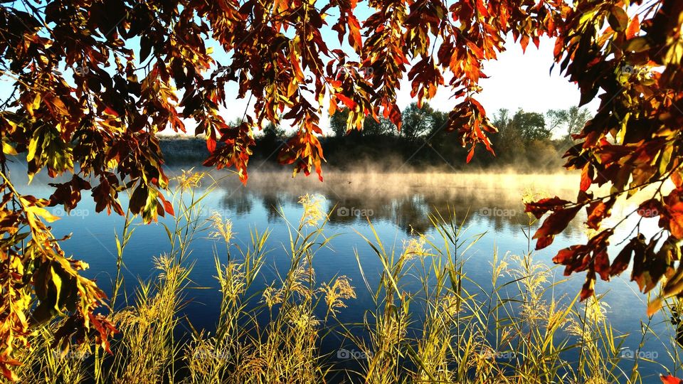 Framed.  Misty Vaal river with reflections at dawn framed by warm autumn leaves and green grass