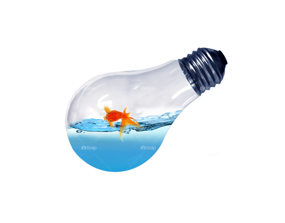 Its a manipulation of fish and bulb. Where a fish  is diving in small bulb filled with water. It signifies that we are living in captivities of our own mind.