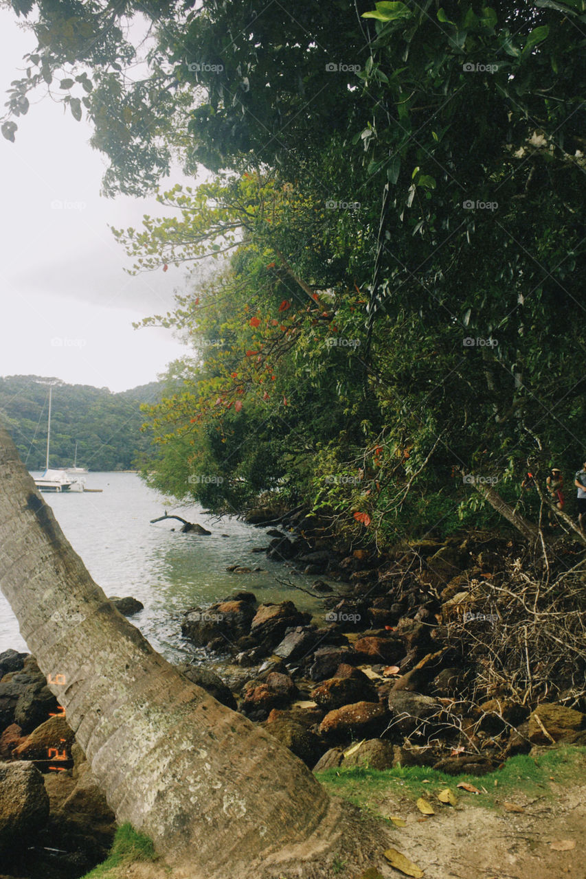 Ilha grande,rio de janeiro, brasil