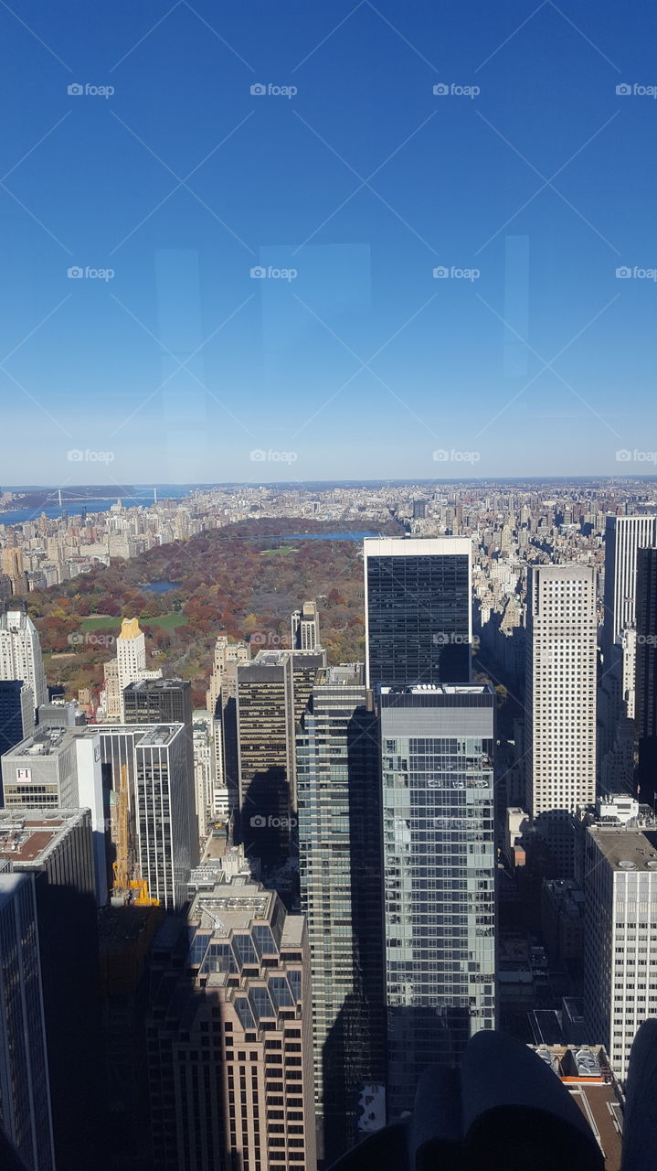 Blick vom Rockefeller Center auf den herbstlichen Central Park