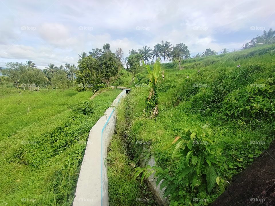 Flow of water and green grass