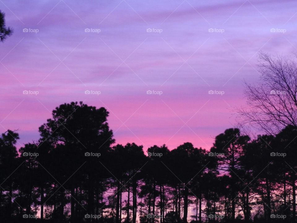 Hues of pinks and purples in the evening sky.