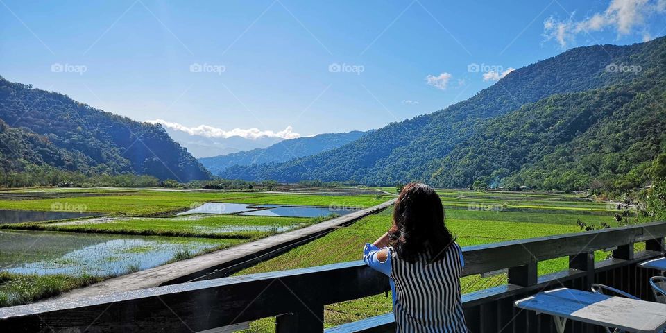 thingking where to go in a nice beautiful rice field