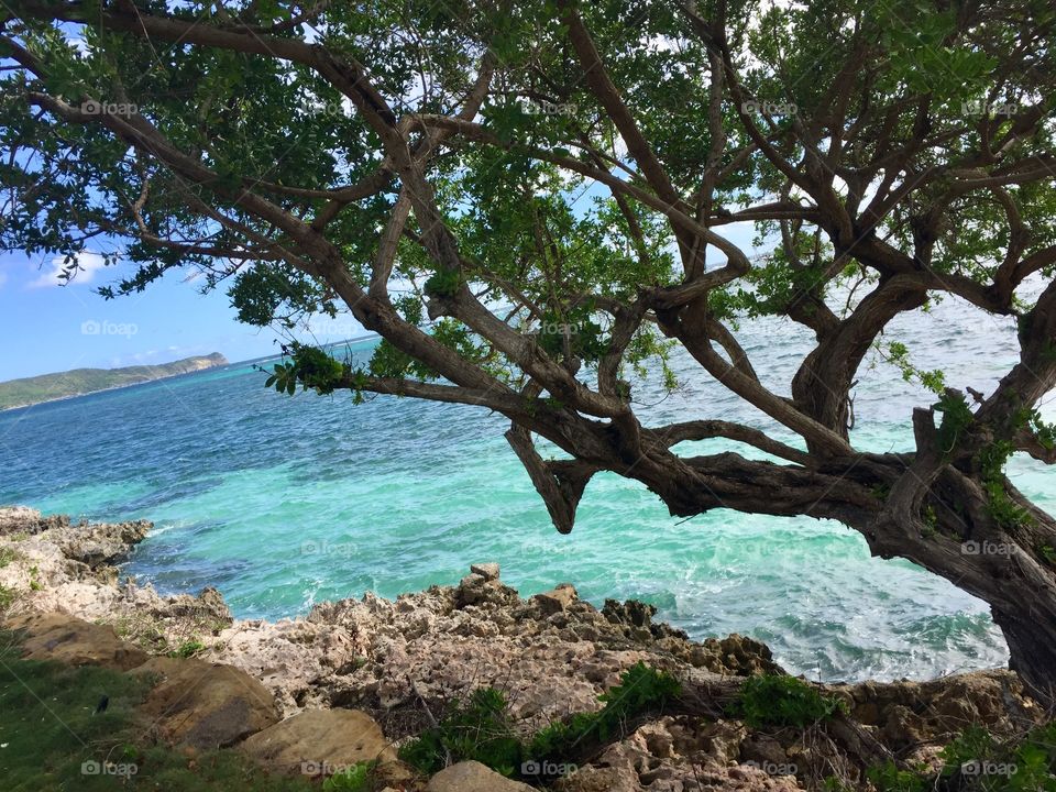 Colors from nature are the best there can be 