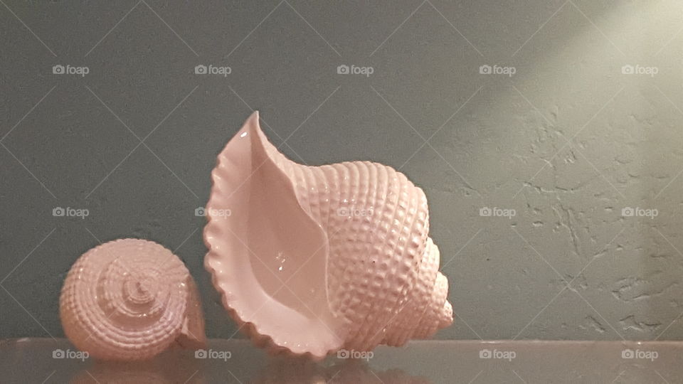 art shells