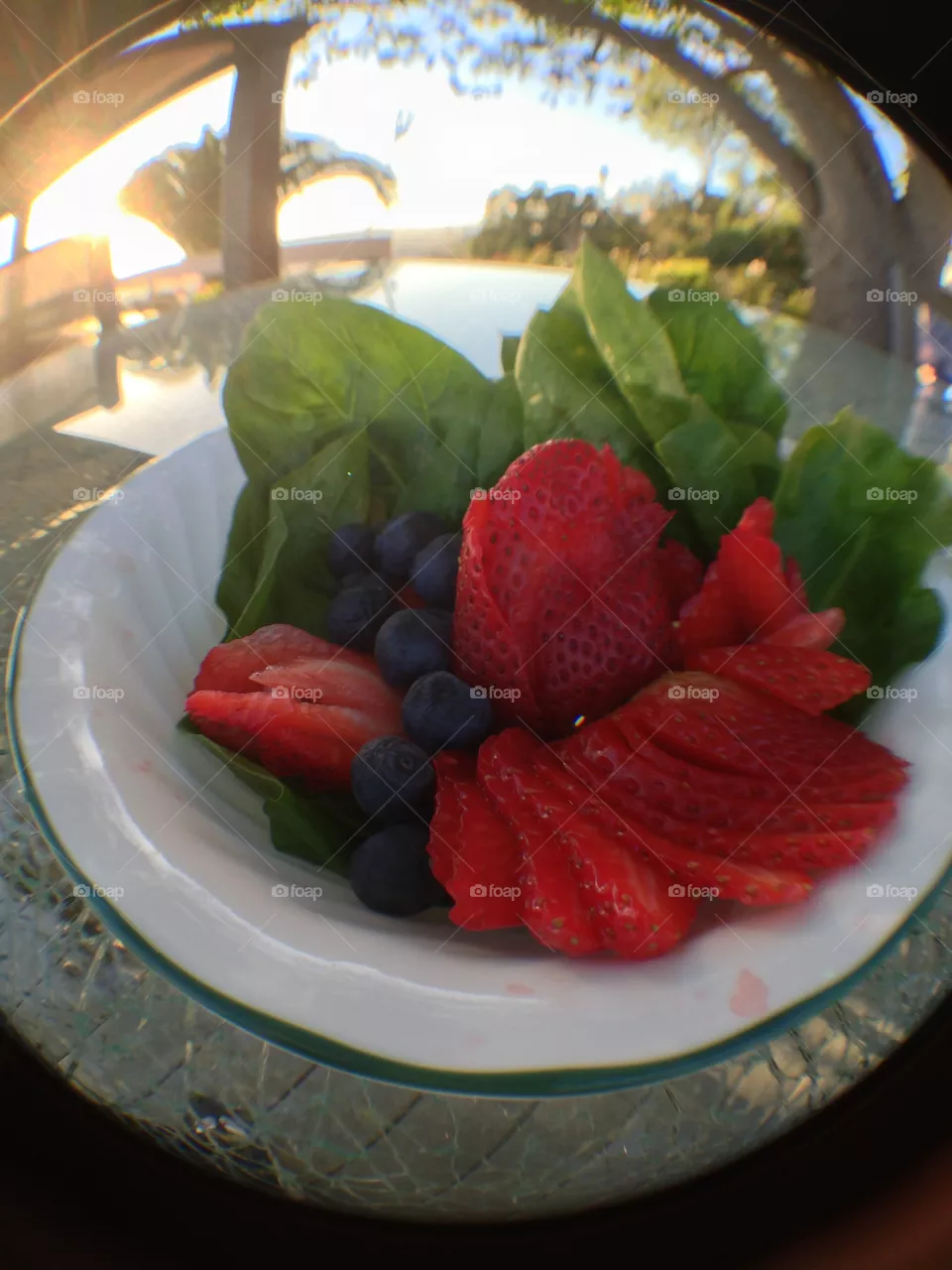 Food, No Person, Fruit, Grow, Still Life