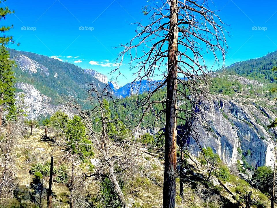 beautiful scenery going to Yosemite National Park