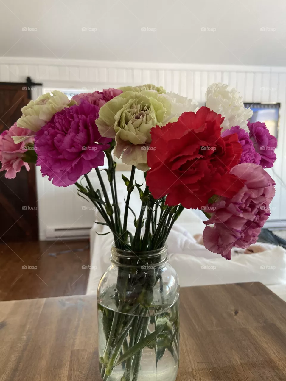 Carnation flower 