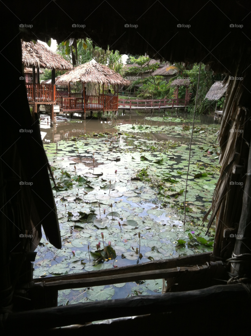 Water, Tree, No Person, Travel, Light
