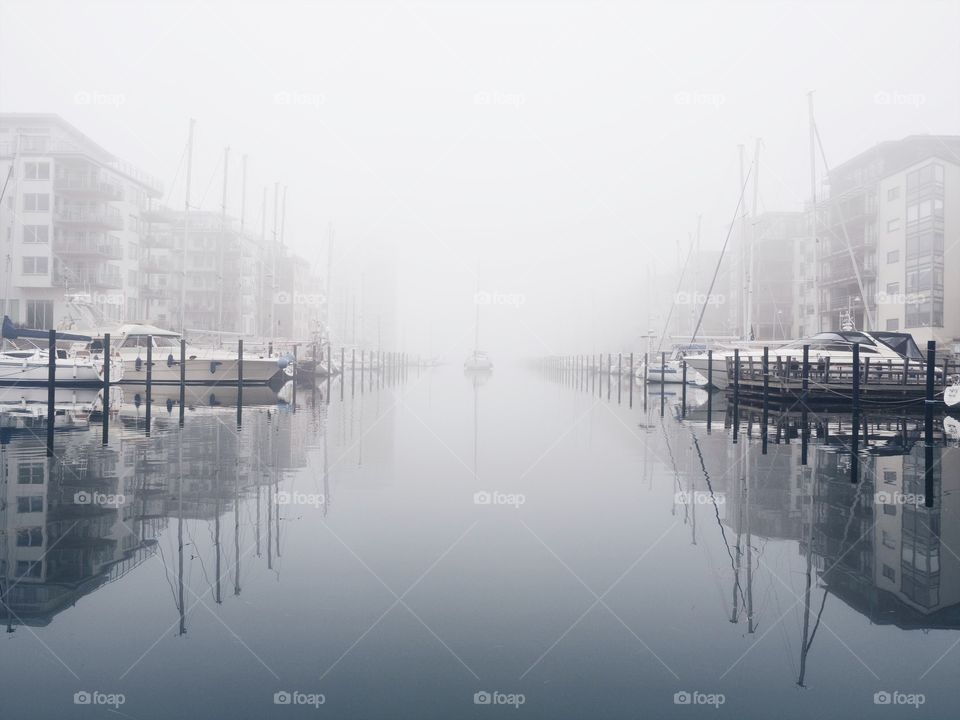 Misty harbour 