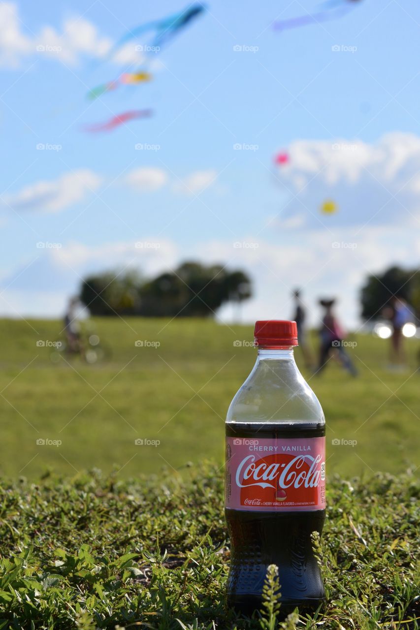 Coke enjoying the park