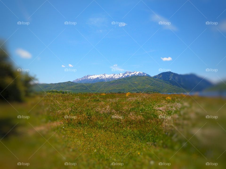 mountain view
