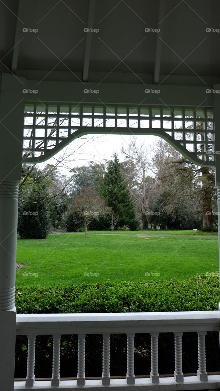 View of front yard from patio