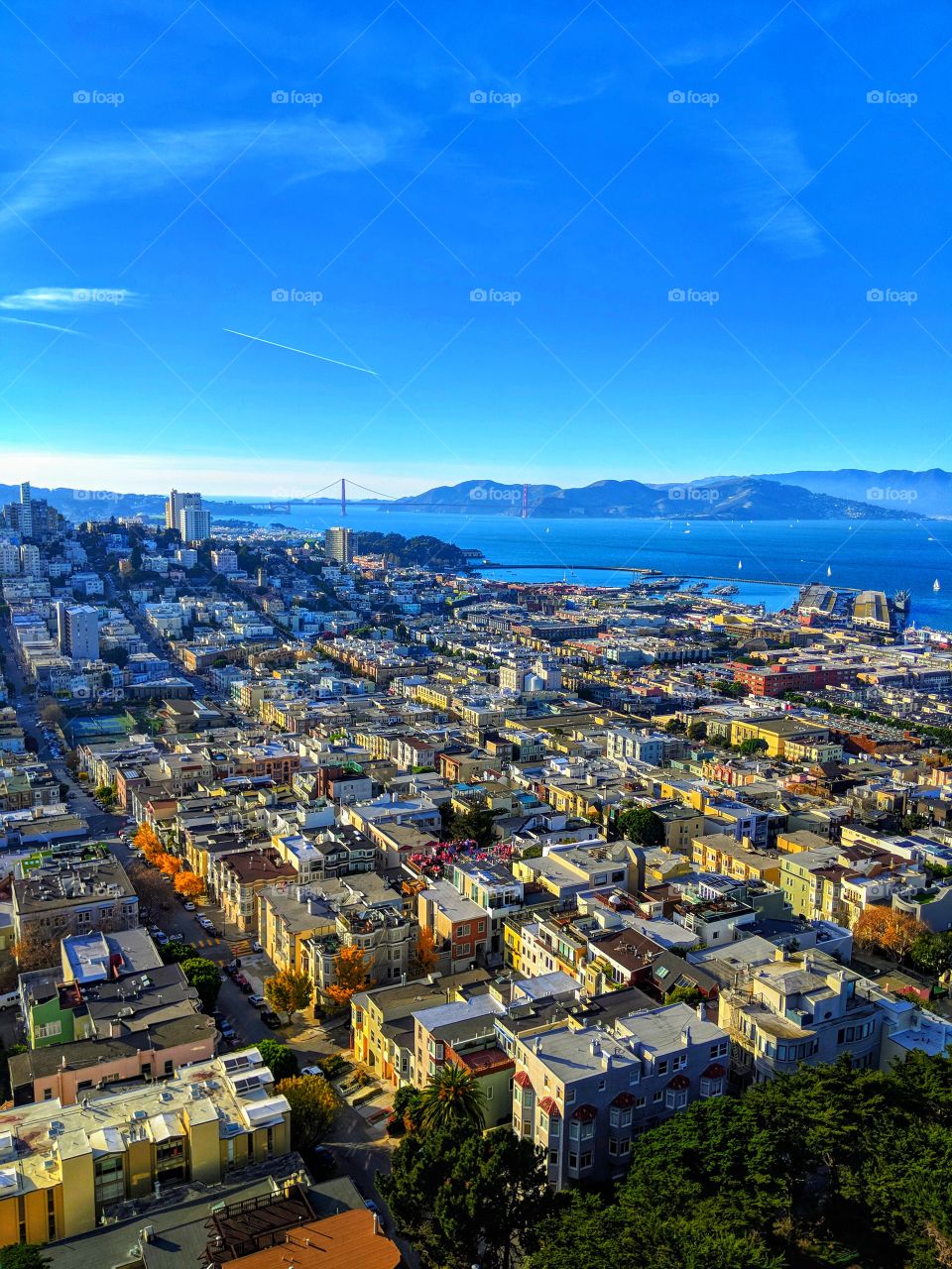 SAN FRANCESCO|california