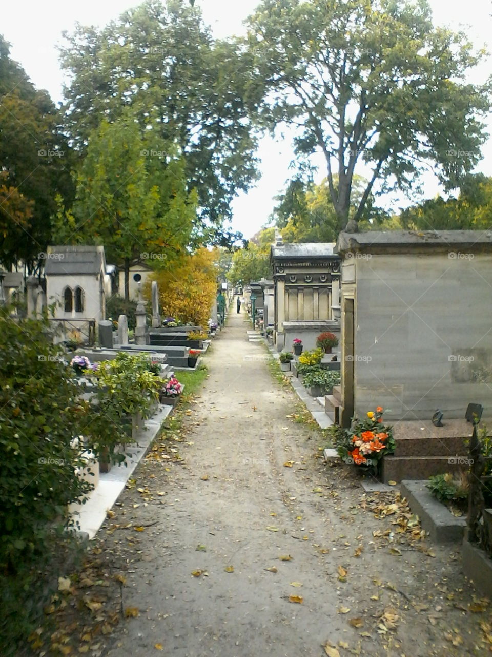 Montmartre Cemetery. The beautiful and historic Cemetière de Montmartre. Famous "residents" include Gustave Moreau and François Truffaut.