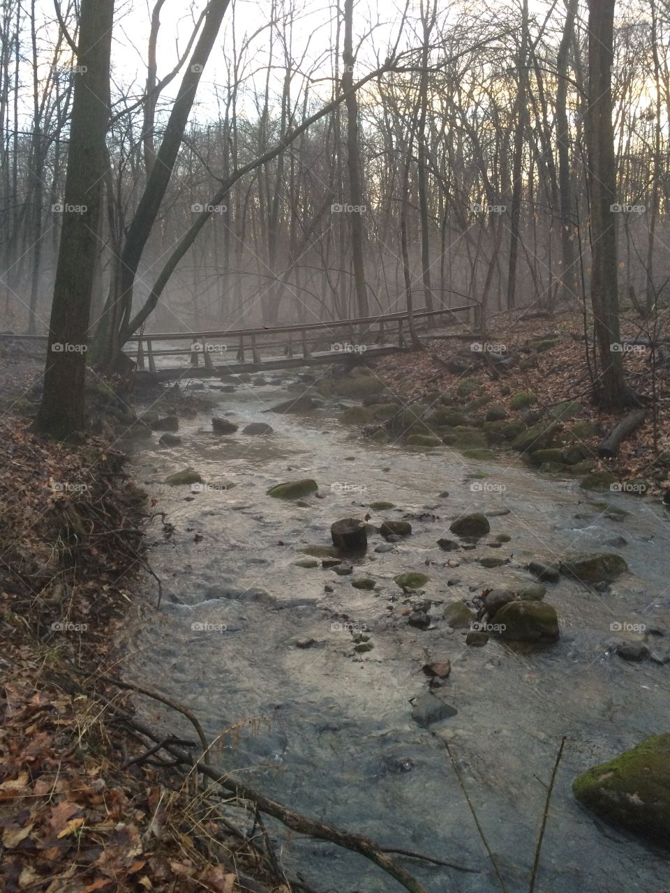 Nature creek