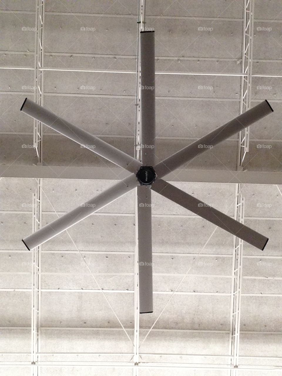 Ceiling fan 