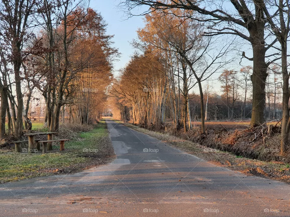 Landstraße