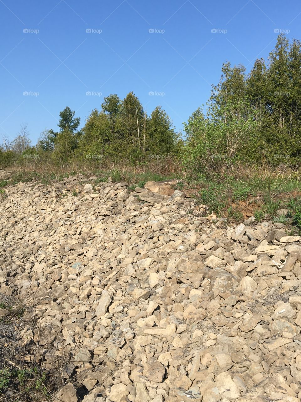 Scenic - blue skies with evergreens & rocks